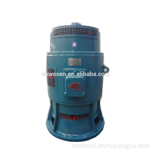 Large/Medium-sized Vertical 3-phase Asynchronous Motor Series YSL Special for Axial Flow Pump